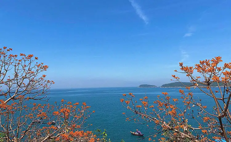 du lịch cù lao chàm