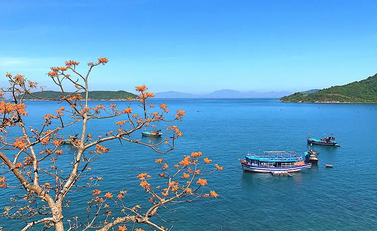 bãi bắc cù lao chàm bãi bắc cù lao chàm