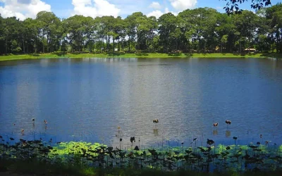 Ao Bà Om Trà Vinh - Điểm đến Trà Vinh