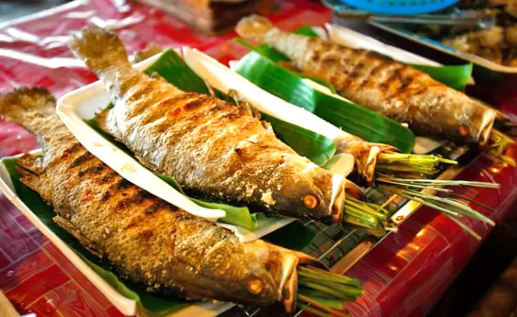 món cá suối nướng mai châu món cá suối nướng mai châu