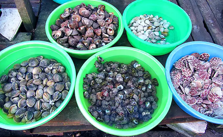 bãi biển dốc lết nha trang