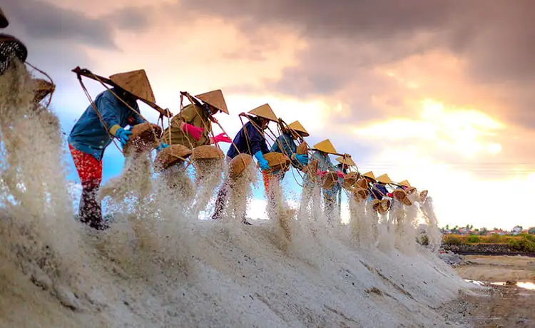 tour du lịch quy nhơn 2 ngày 1 đêm tour du lịch quy nhơn 2 ngày 1 đêm