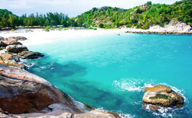 bãi cây me đảo bình hưng