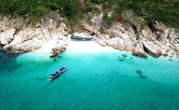 bãi cây me đảo bình hưng