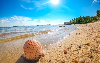 Bãi Hương Cù Lao Chàm - Bãi biển của những người dân làng chài du lịch Cù Lao Chàm