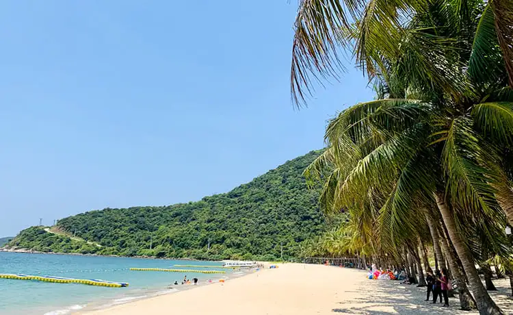 bãi ông cù lao chàm