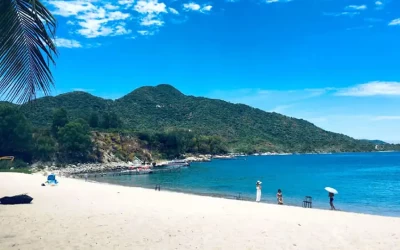 Bãi Ông Cù Lao Chàm - Bãi biển hoang sơ của du lịch Cù Lao Chàm