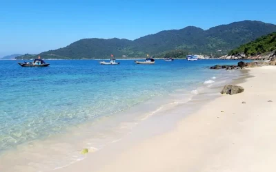 Bãi Xếp Cù Lao Chàm - Địa điểm lặn ngắm san hô khi du lịch Cù Lao Chàm