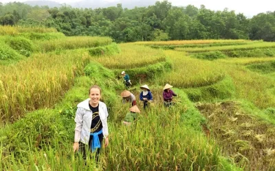 Bản Bước Mai Châu - Điểm đến Mai Châu