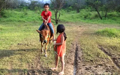 Bản Pa Phách Mộc Châu - Điểm đến Mộc Châu