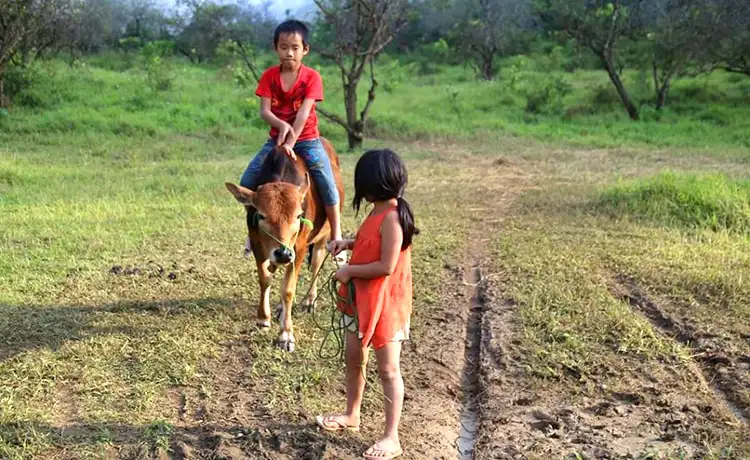 Bản Pa Phách Mộc Châu