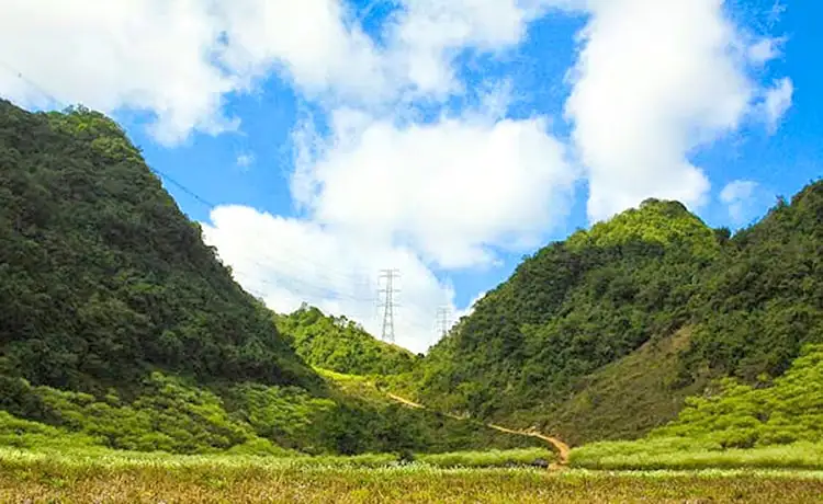 Bản Pa Phách Mộc Châu