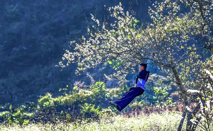 Bản Phiêng Cành Mộc Châu
