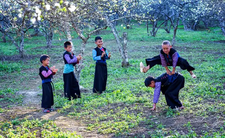 Bản Phiêng Cành Mộc Châu