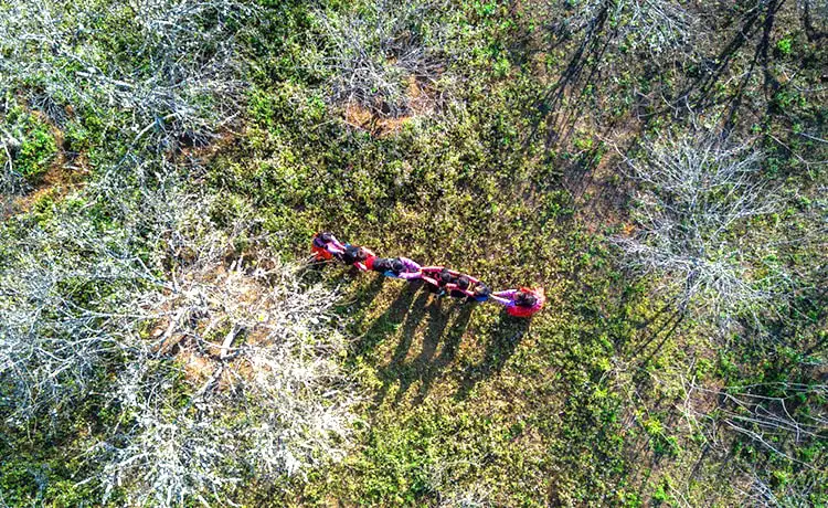 Bản Phiêng Cành Mộc Châu