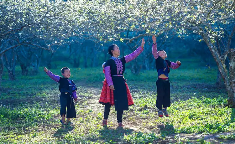 Bản Phiêng Cành Mộc Châu