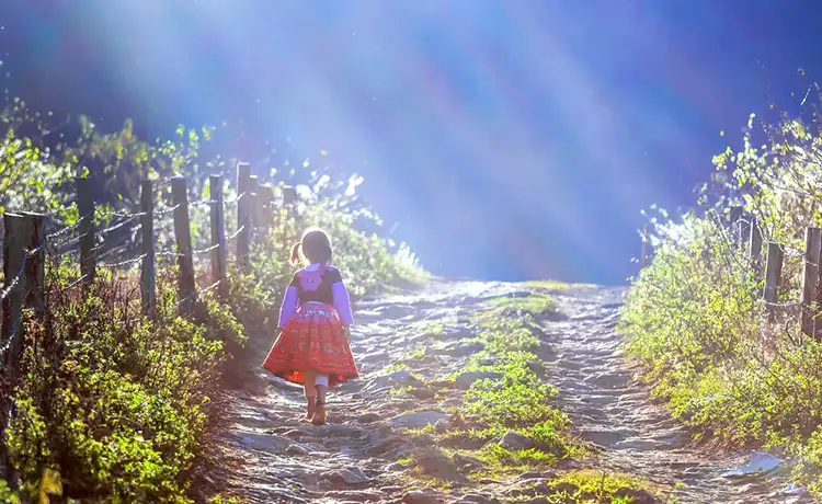 Bản Phiêng Cành Mộc Châu