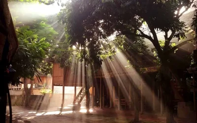 Bản Pom Coọng Mai Châu - Điểm đến Mai Châu