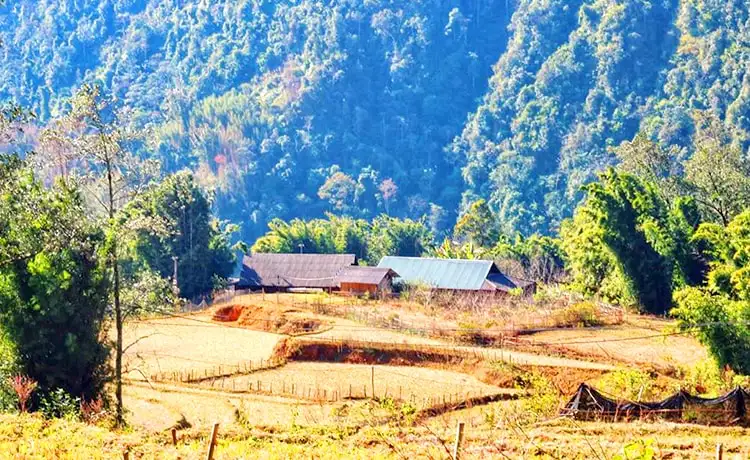 tour du lịch SaPa