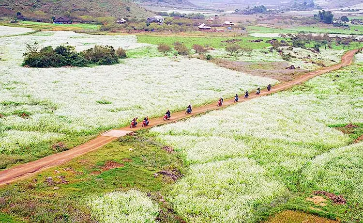 Bản Thung Cuông Mộc Châu