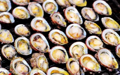 Bào ngư Cô Tô - Đặc sản Cô Tô