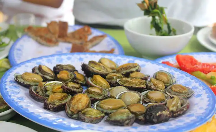 bào ngư cù lao chàm