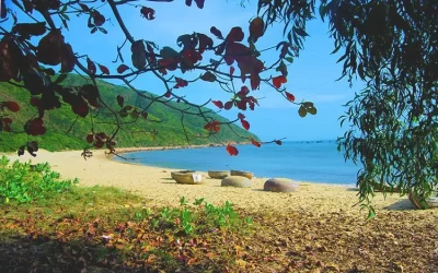 Biển Hải Giang - Điểm đến Quy Nhơn