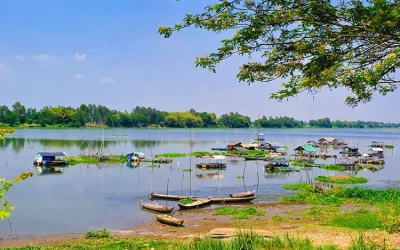 Búng Bình Thiên - Du lịch An Giang