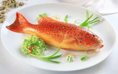 Cá mú đỏ - Đặc sản Côn Đảo