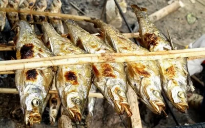 Cá suối Mộc Châu - Đặc sản Mộc Châu