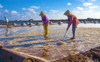 Cánh đồng muối Bạc Liêu – Điểm đến Bạc Liêu