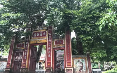 Cây di sản ở Cù Lao Chàm - Cẩm nang du lịch Cù Lao Chàm