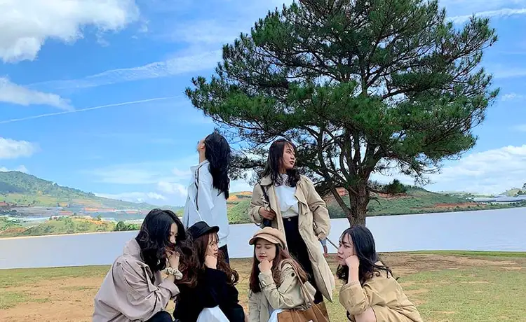 cây thông cô đơn đà lạt