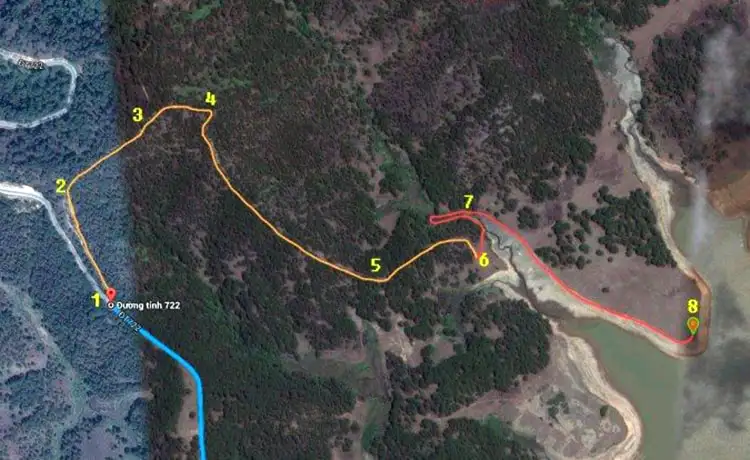 cây thông cô đơn đà lạt