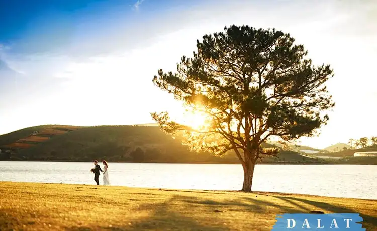 tour tham quan thác voi ngoại thành đà lạt 1 ngày