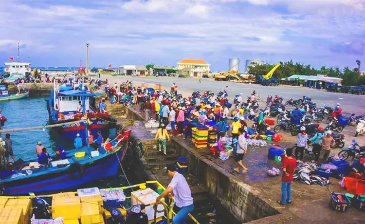 Giá thành hải sản tại chợ hải sản đảo Phú Quý có đáng chú ý không?
