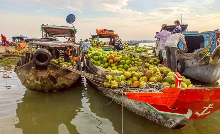 tour châu đốc rừng tràm trà sư cần thơ mỹ tho 3 ngày 2 đêm