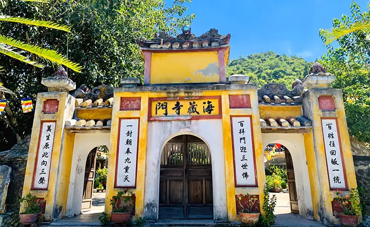 tour du lịch cù lao chàm 1 ngày câu cá lặng ngắm san hô