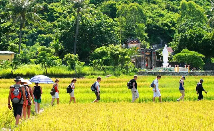 chùa hải tạng cù lao chàm