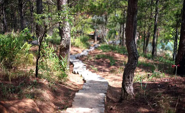 chùa linh phong đà lạt