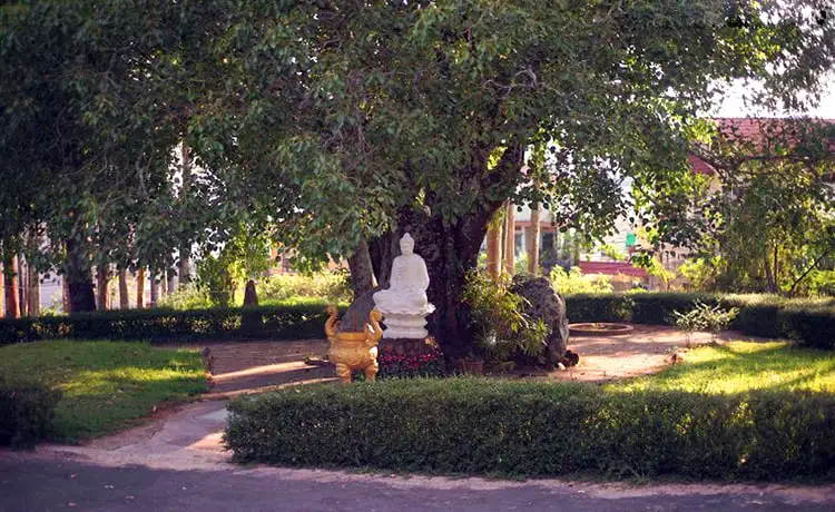 khuôn viên chùa linh sơn đà lạt