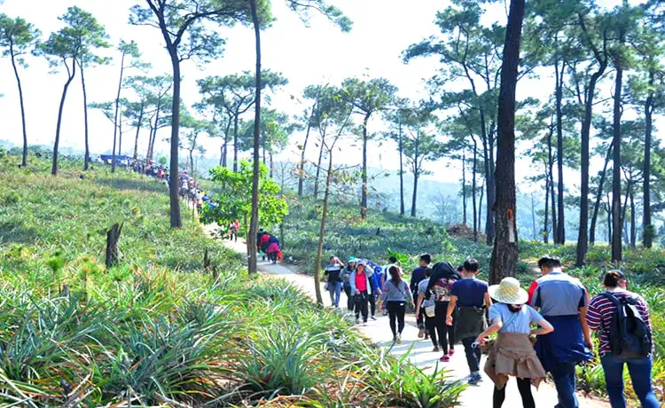 chùa lôi âm vịnh hạ long