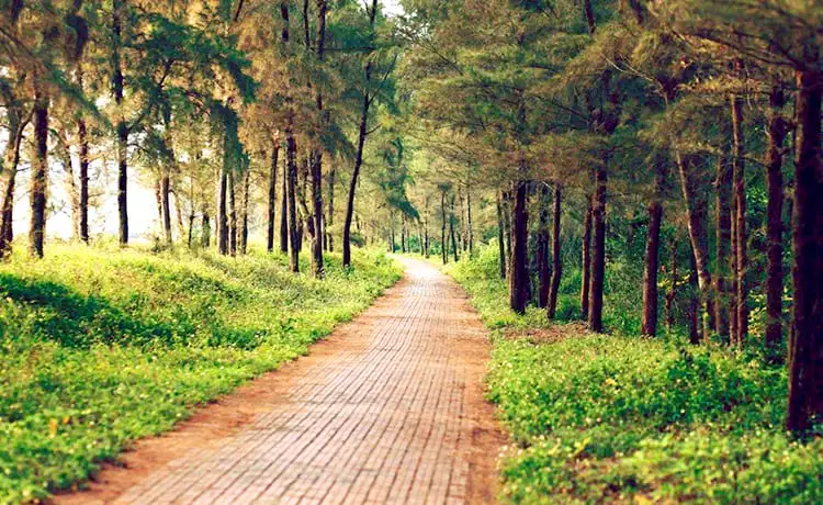 tour du lịch Cô Tô