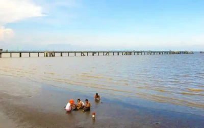 Cồn Nghêu Trà Vinh - Điểm đến Trà Vinh