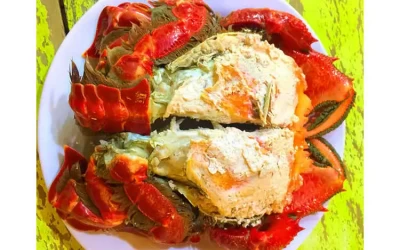 Cua Huỳnh Đế Lý Sơn