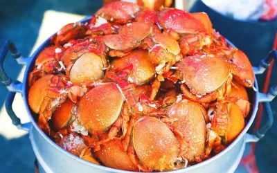 Cua Huỳnh Đế - Đặc sản Phú Quý