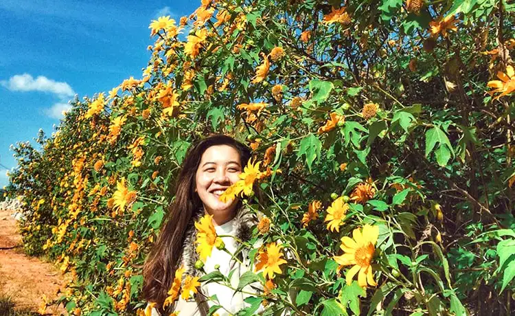 cung đường ngắm hoa dã quỳ đà lạt