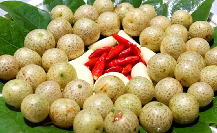 đặc sản quả mác mật cao bằng