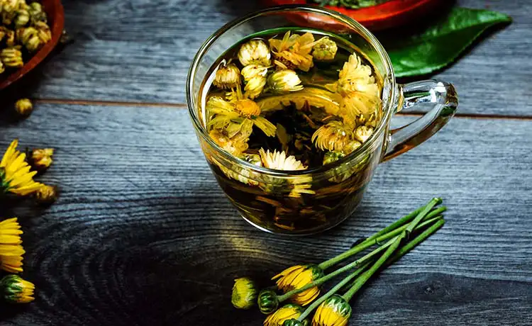 trà hoa cúc đặc sản ở đà lạt