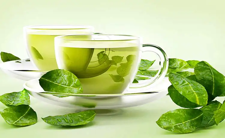 trà xanh đặc sản đà lạt